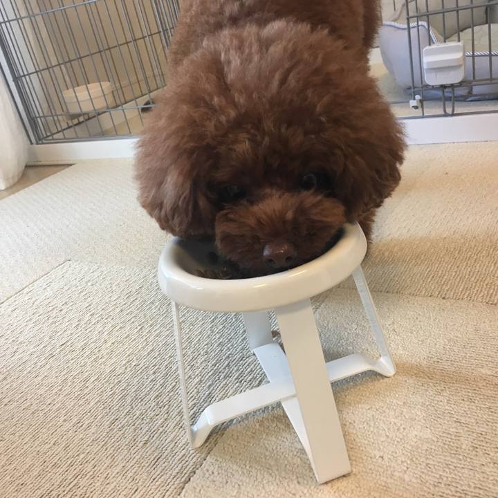 3c5469c9 2a79 4673 b6a8 7cc83e5a9864 1525387937613