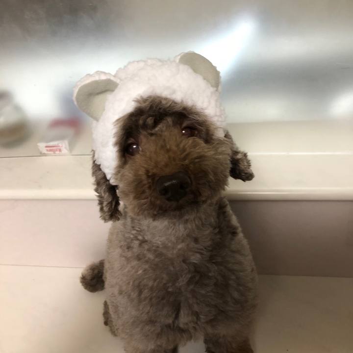 3c547059 9228 43ac 84f8 823d6bc9ab9c 1519106569605