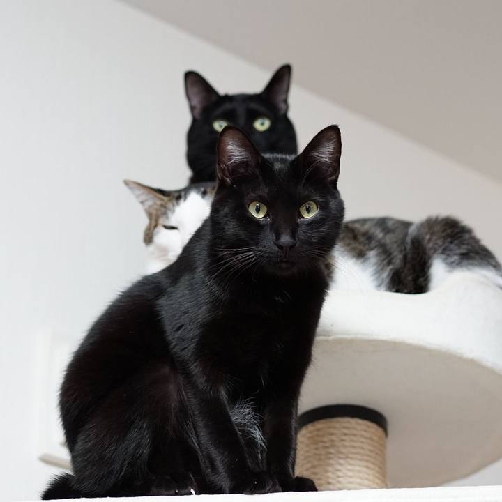 3c54c2f0 8c84 4bdd 80e0 0195deda1eb2 1547509980643