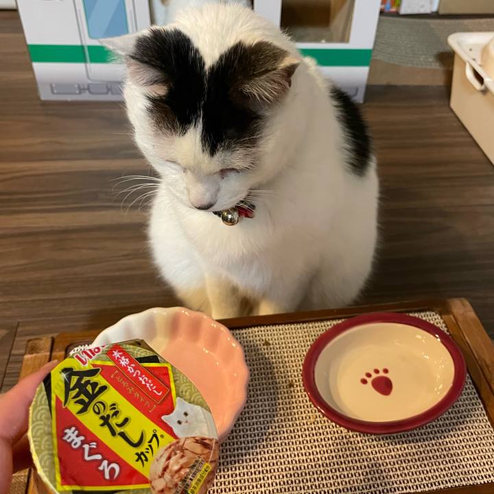 3c5514d6 8d2b 4687 b973 ded66b4a67a2 1740218625590