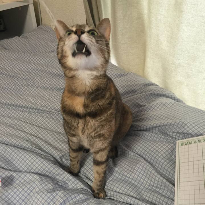 3c55a2f4 0cc2 47ed aacf ed7537aa53e9 1520493307941