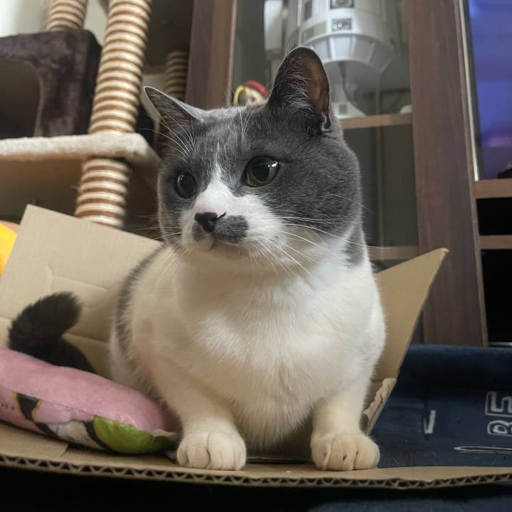 3c55c0a8 41db 47a9 b9e9 bf86cc683262 1709105819955