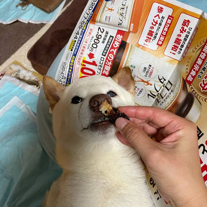 3c55c5a8 6ccc 42f5 a45f 019ca7a9fdab 1658755780296