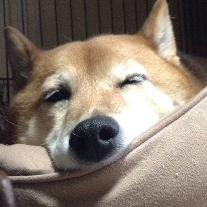 3c55c7f5 7c62 4f2d 8778 fbc6ccd1f01e 1526631644246