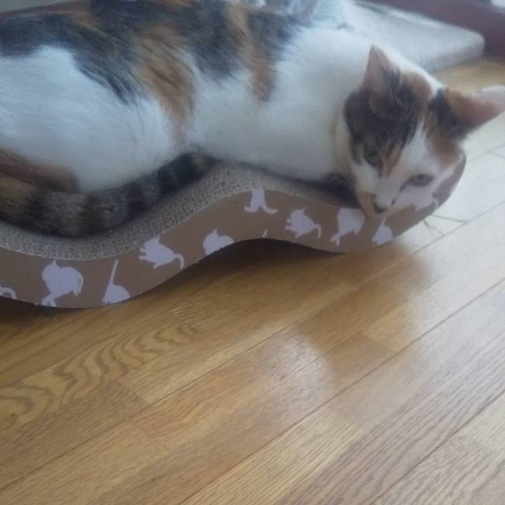 3c55d3b4 d6ce 4ab0 97a4 98ad37366f16 1691015460897