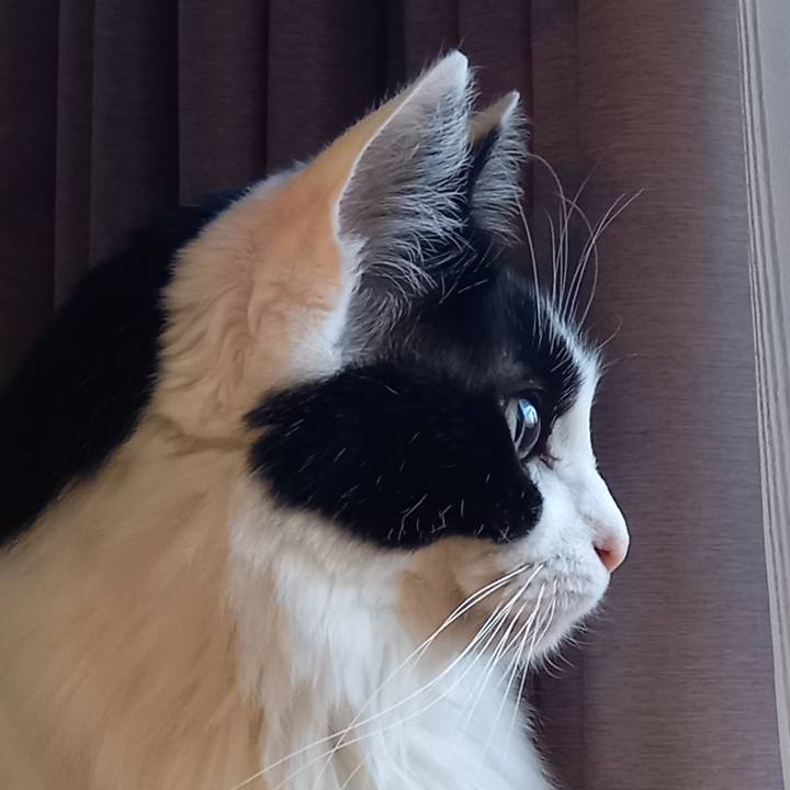 3c55e1b9 6b7d 4e80 8765 eb6c05873992 1647034419063