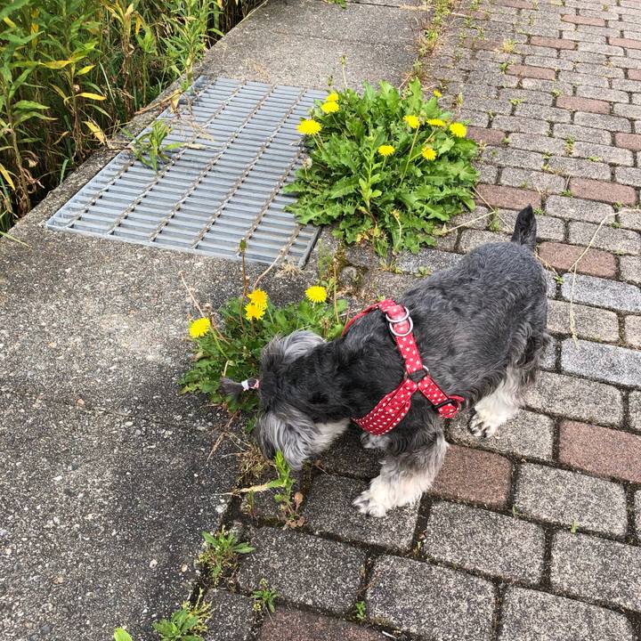 3c55f436 c6a1 4ab0 8bb3 3bfa5ad62e9b 1559443042446