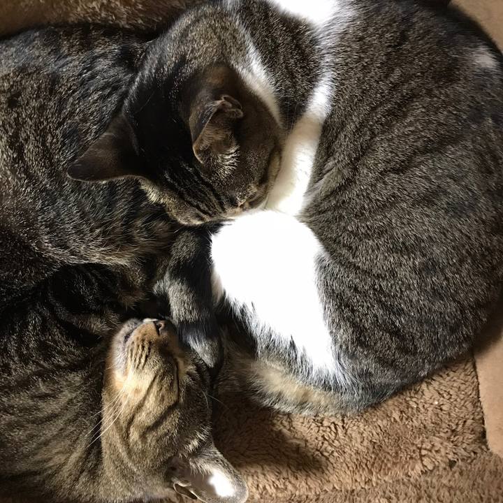 3c561b9a 8468 4f74 aad6 42cdcab68caf 1517014854105