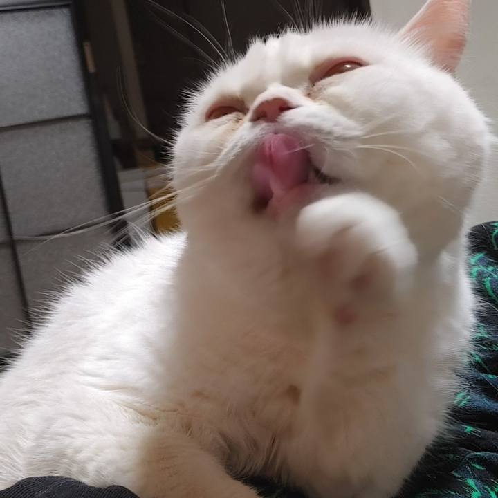 3c564ae8 82e6 4cdf b649 b42ee47a39ac 1714387714681