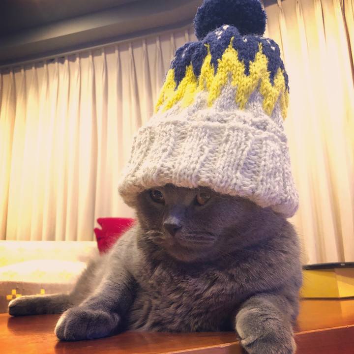 3c568a4d fc7d 4904 af66 9394b33cf73f 1545030936027