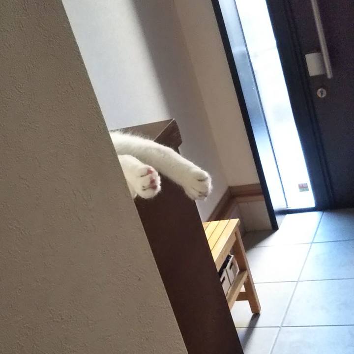 3c56a6ae dce7 465b 9623 33d14b6e5e7e 1627163090245