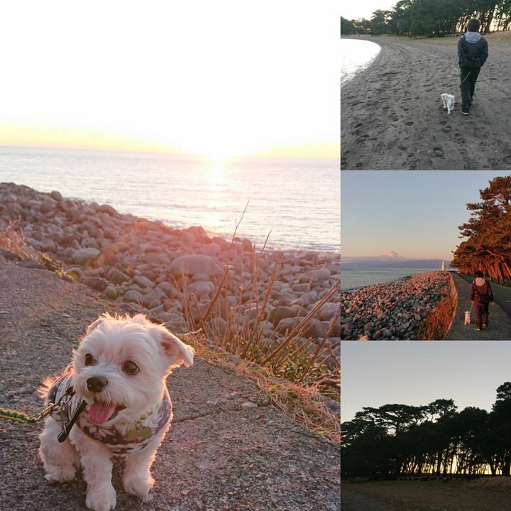 3c56ab62 d7fb 43f2 b5f1 a26cd1f9e80f 1577880593241