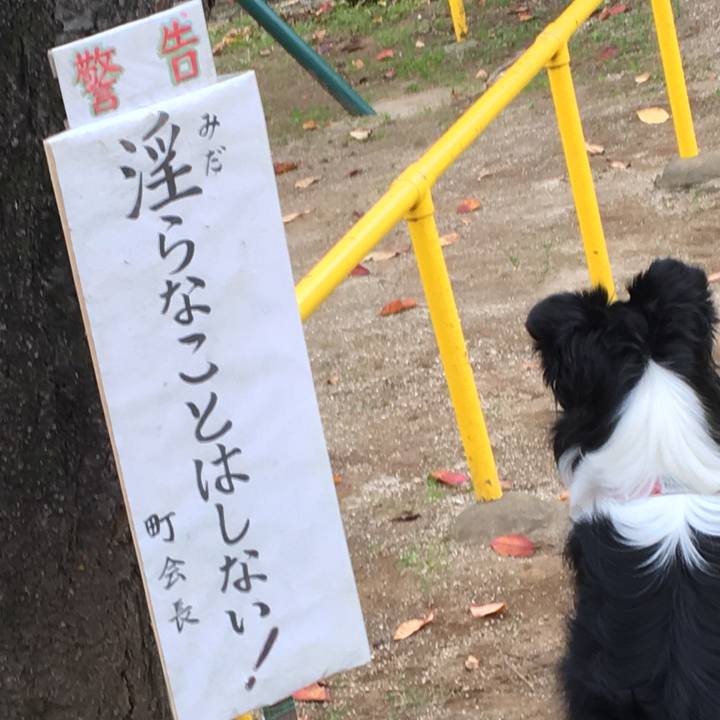 3c56c92e c089 48f2 ac85 5e9390ce1e92 1510965037406