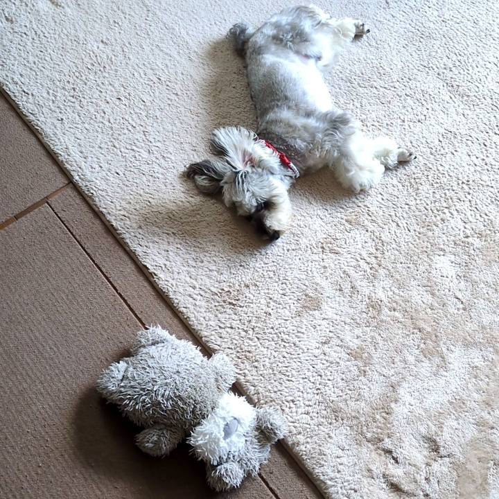 3c56d135 dc00 4202 814f 9d1b561020fc 1754442877722