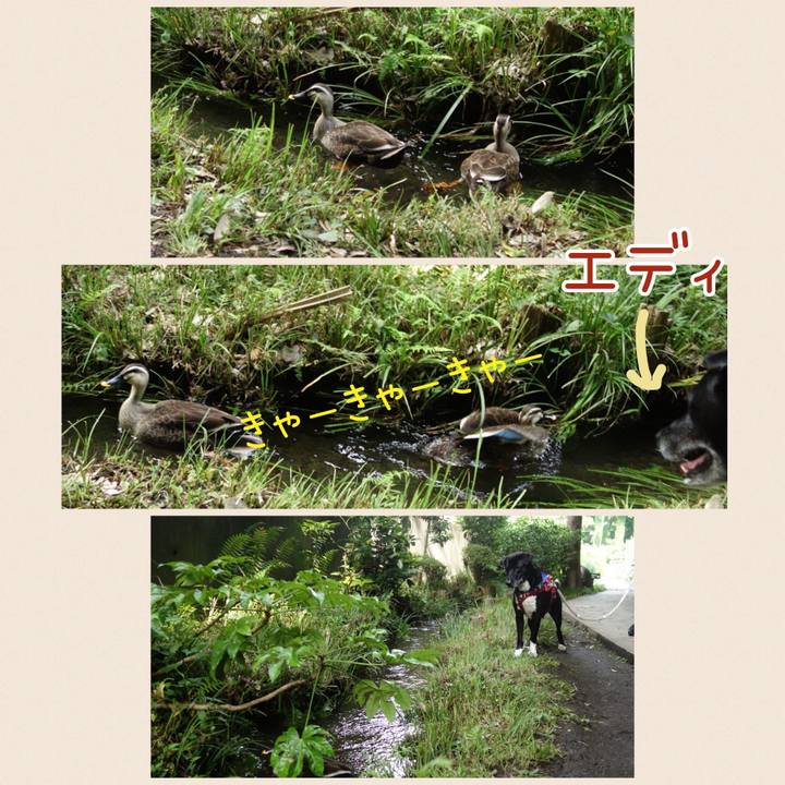 3c56e2a4 5735 4e38 ae3f a45465bda85d 1686186247026