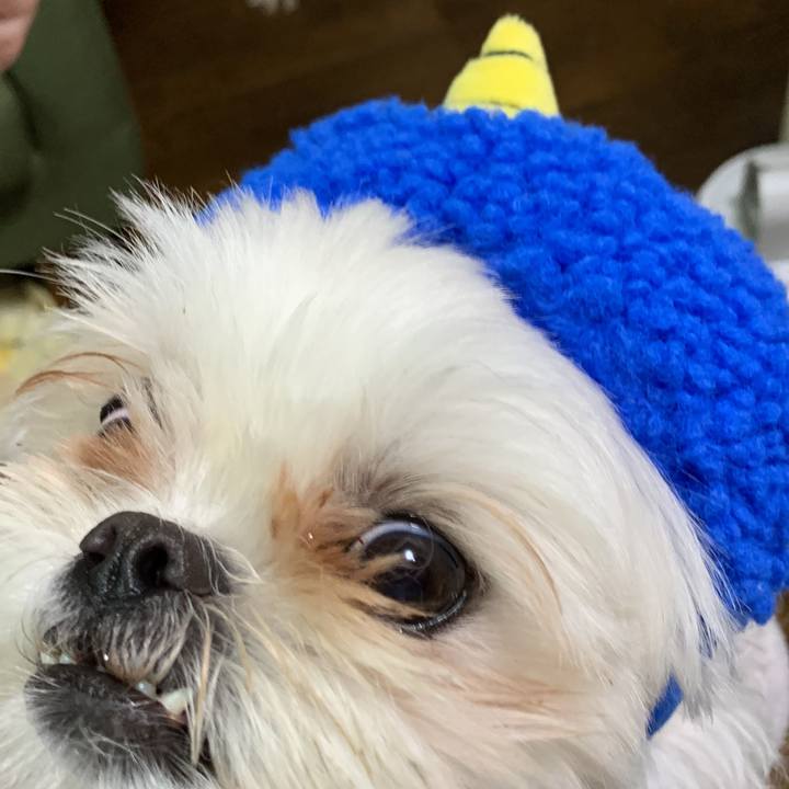 3c56e99f 9cd7 4f65 b3fe 6205c7692627 1675426253773