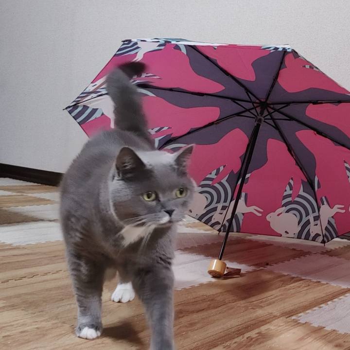 3c571e26 79d5 471d baae 49fa66d6795d 1695292334427