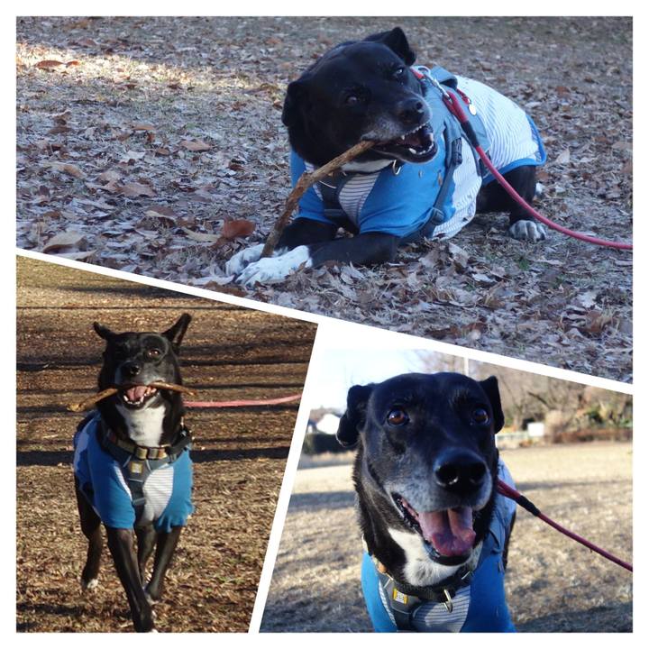 3c572634 dd9e 4e80 819e 1bb7180a8541 1704676757966