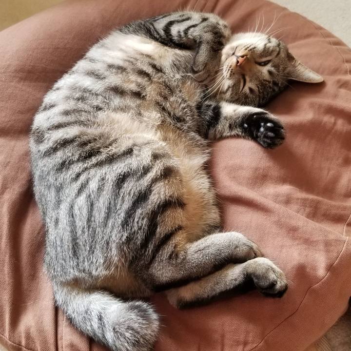 3c5739f5 9ef8 44e9 aa32 3868d7d20941 1685272330468