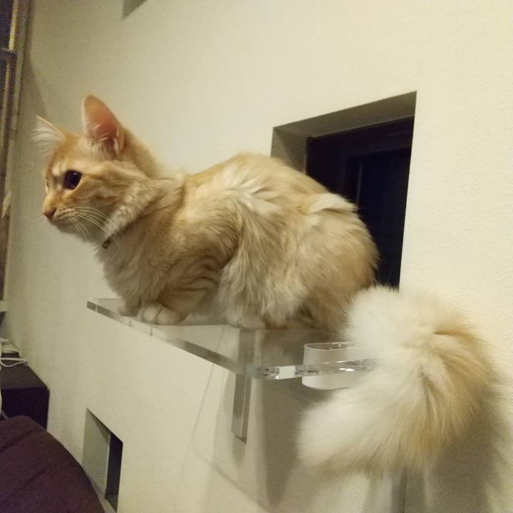 3c575712 93a2 4d48 9943 3ed88c619181 1617189395907