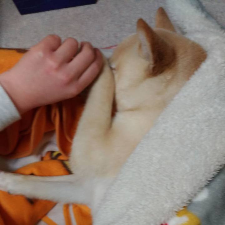 3c578bf6 cd08 476e 975e c9f7e54de9d6 1515845865874