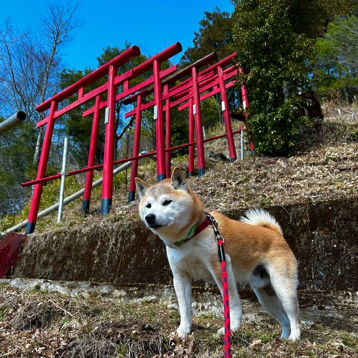 3c57b2e0 087f 46ab 8fa7 bce6eddde5ba 1773745291946