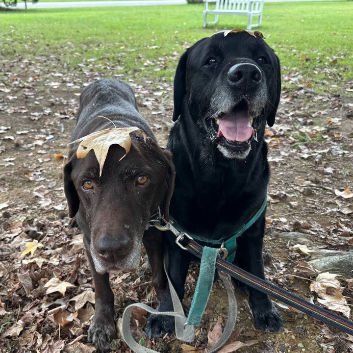 3c57f4be 1516 49ec a16a 2032d46692cd 1760964416220