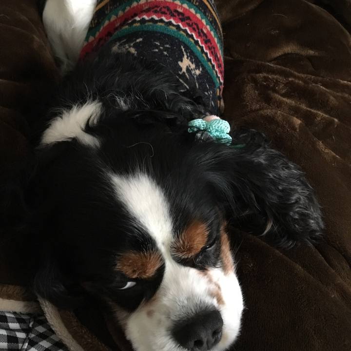 3c57fe48 2d67 41b5 a3db 4d708bea053b 1518347410203