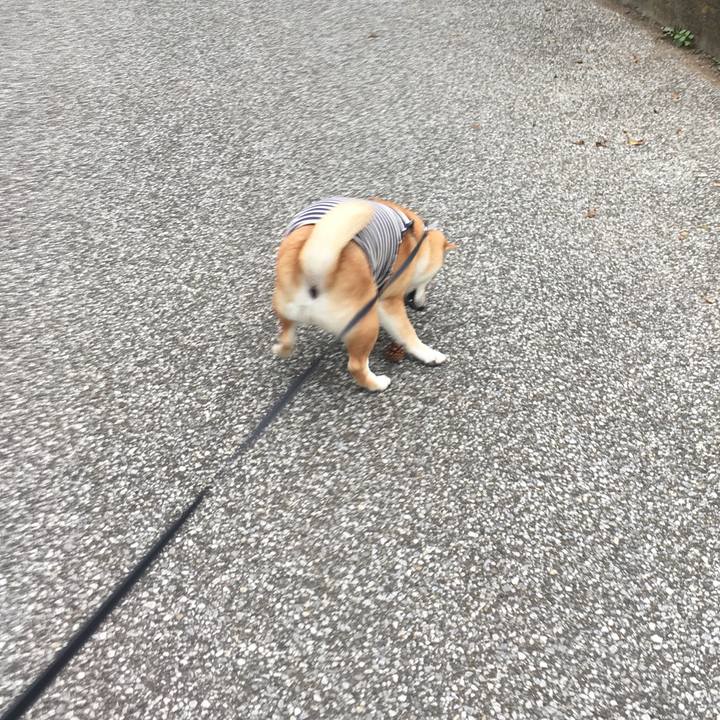 3c58123a f9b9 4c34 9c4f 75f74d08f312 1539399595349