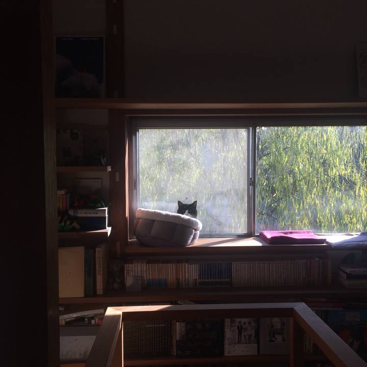 3c584a60 476a 4209 aede 9a92c9e3fe86 1609633755217