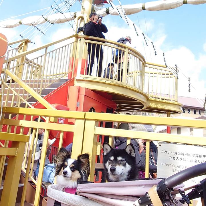 3c58527a 5802 4ad2 9378 18329b32b7be 1710068233869