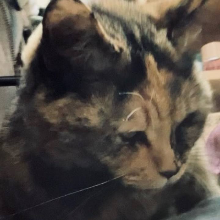 3c586d00 5f0e 4fbc a81c 3ddf9ae66da3 1735095743904