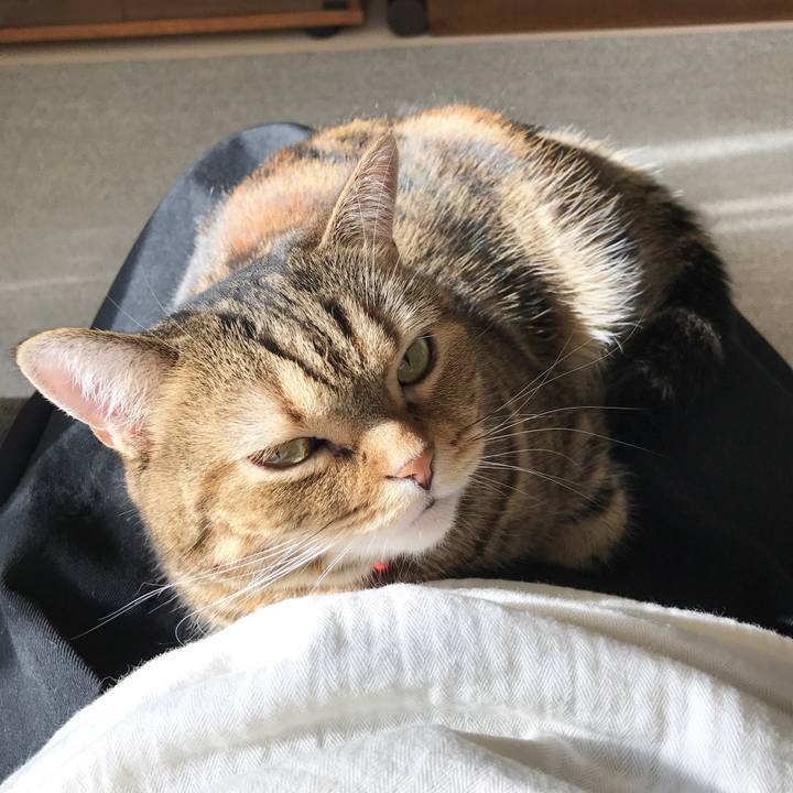 3c5907ec 0701 4c22 b780 44df61da7da3 1545097038995