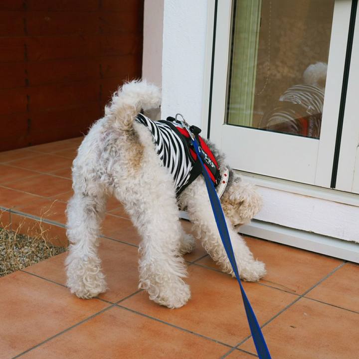 3c5928e3 4601 4659 a64d 0340654512a7 1510630982666