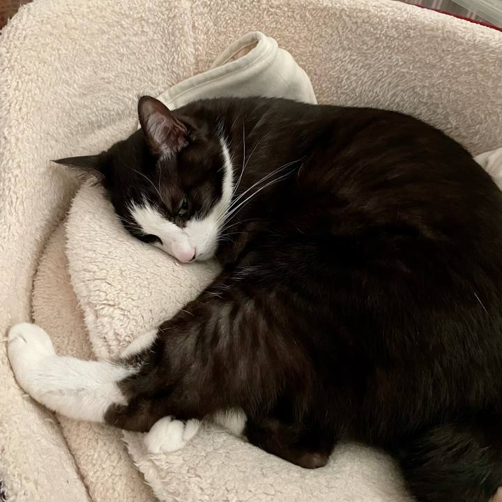 3c595ba6 71b4 4304 931f 75d3aeeb2bec 1648424134733