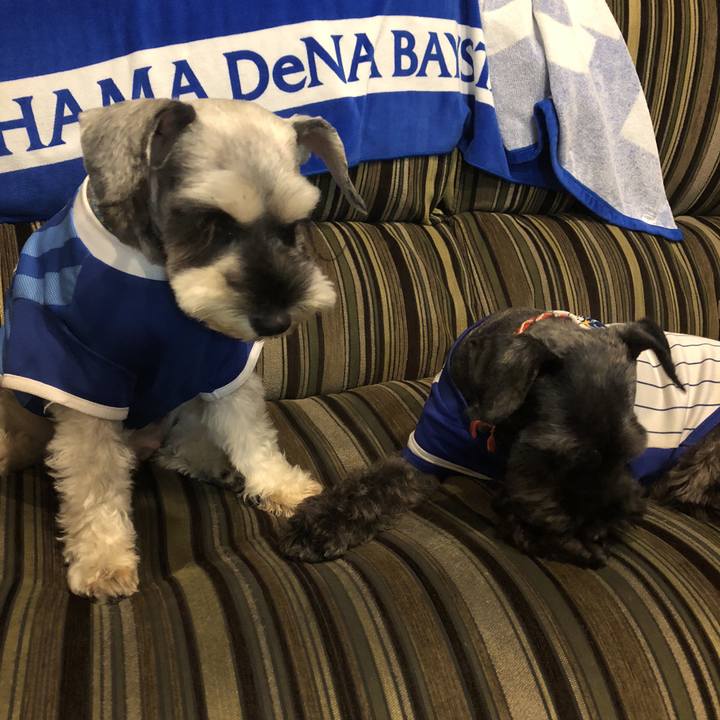 3c5964da f077 4088 be7a 3907c2f89ceb 1537610858297