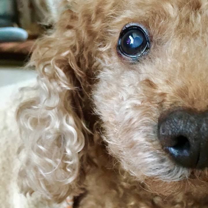 3c59659c 689c 446a a352 ea295497ed99 1507982066676