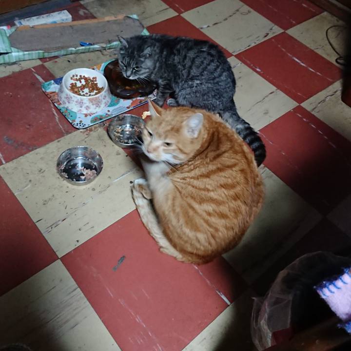 3c597aed 5a1d 405e bd1a d17222a93f1c 1578688906400