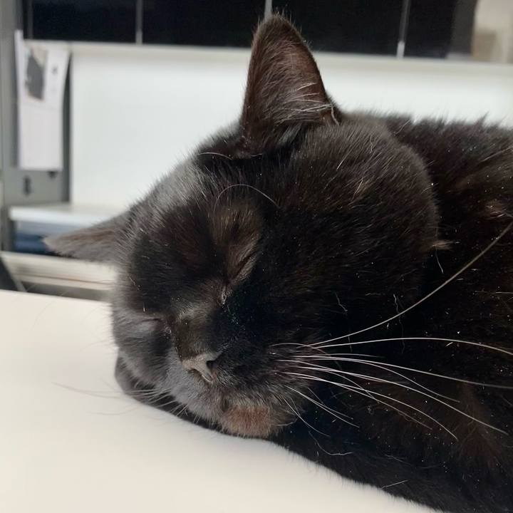 3c59af38 ff19 4987 8ba5 3c21f11e63c7 1714477396511