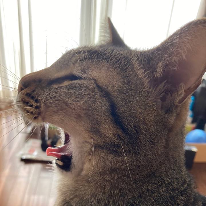 3c59bf5b 18b4 42c2 904f 029b82e4b41c 1765406576334