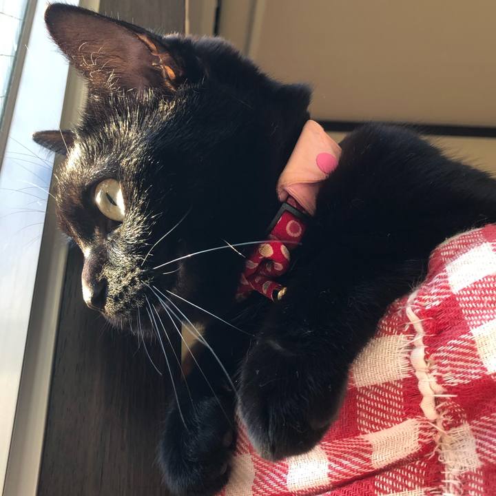 3c59ed26 865d 49fd 9a02 590cd6015868 1605479262405