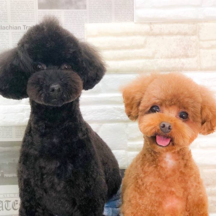 3c59ed7e 7648 4104 887c 8eb59d6909b9 1592546783647