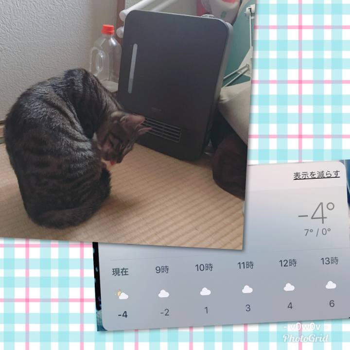 3c5a0edf 0a99 48b6 b0e5 31e4a0fa0c89 1547507748546