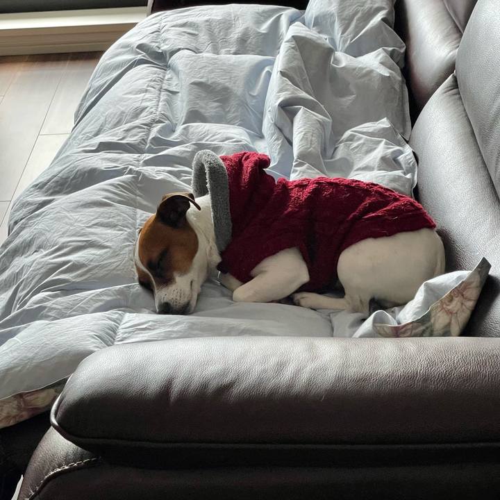 3c5a5561 6947 4244 a6de 88950c63bdc5 1643767404945