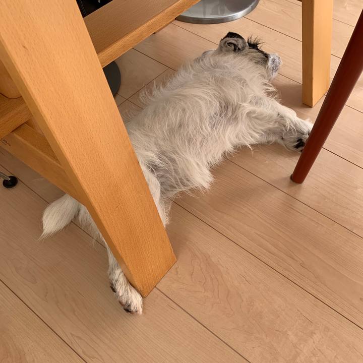 3c5a8368 1517 47f4 bc12 b321f4d40a0f 1566784599546