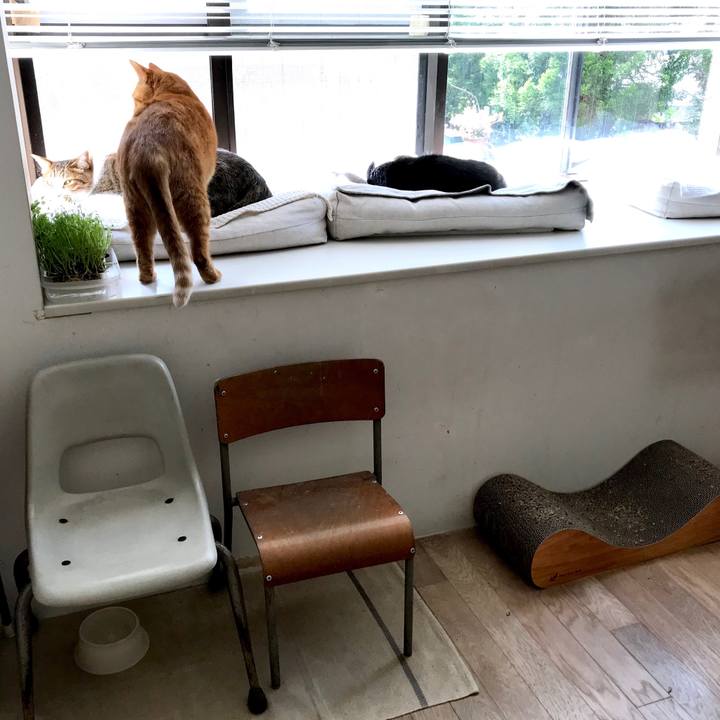 3c5aa212 e905 4705 a628 d2a478f93c08 1522746267007