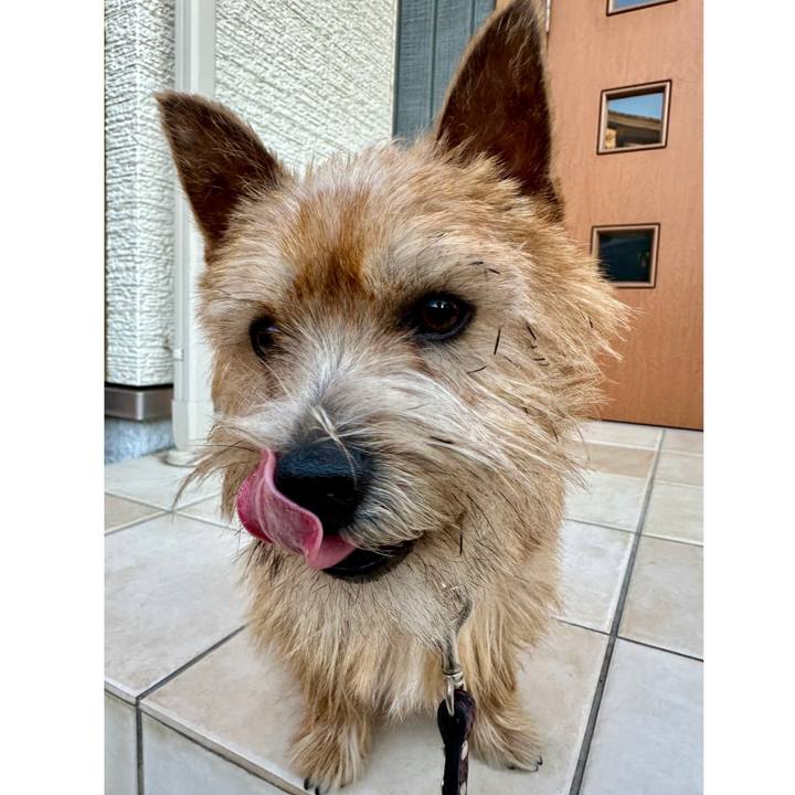 3c5addb4 b01d 42c0 93b4 a20b360f9554 1735781464052