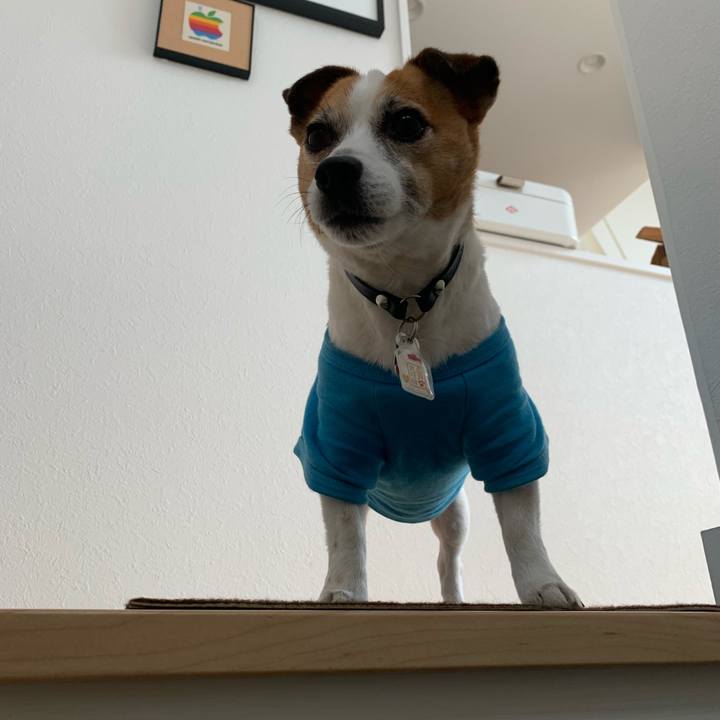 3c5b2afa f697 40af b082 85db9572bd66 1618550957061