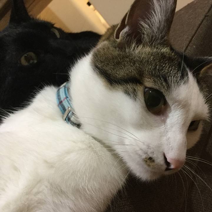 3c5b794a 4028 4a90 86d9 13cf08d8b8bd 1524926957331