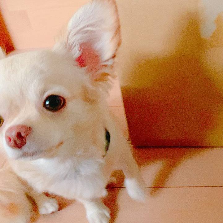 3c5b8904 8b5a 448f 9c88 27fae8f0e1c8 1630358853855